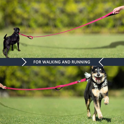 Plutus Pet Double Handle Dog Leash 5ft, Heavy Duty, Reflective Dual Handle Dog Leash for Safety Training, for Medium Large Dogs,2 Handle Leads(Pink)
