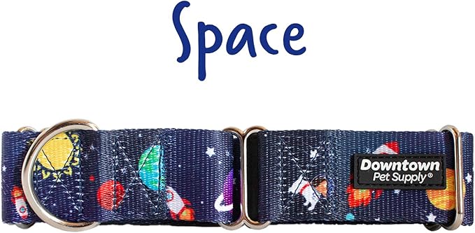 Downtown Pet Supply - Martingale Collar for Dogs - Dog Training Collar - Big, Wide & Thick Dog Collar - Escape-Proof, Weatherproof, Durable and Comfortable - Space - Large Dog Collar