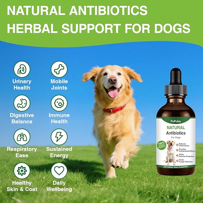 Antibiotics for Dogs | Natura Antibiotics for Dogs | Dietary Supplement Pet Antibiotic | Dog Vitamins and Supplements | Dog Antibiotic | 2 Oz