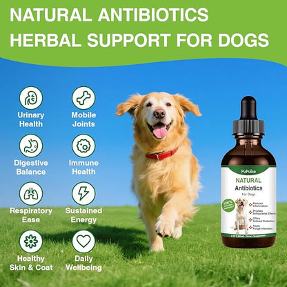 Antibiotics for Dogs | Natura Antibiotics for Dogs | Dietary Supplement Pet Antibiotic | Dog Vitamins and Supplements | Dog Antibiotic | 2 Oz