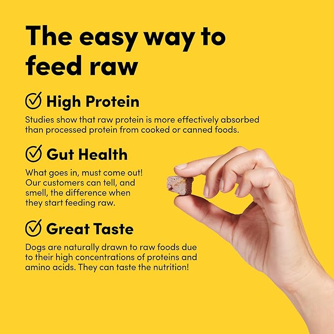 Freeze Dried Dog Treats Topper Premium, Supports Gut Health, Dog Food, High Protein, Non-GMO, No Wheat or Corn, 3oz (Beef)