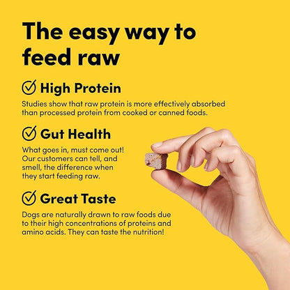 Freeze Dried Dog Treats Topper Premium, Supports Gut Health, Dog Food, High Protein, Non-GMO, No Wheat or Corn, 3oz (Beef)