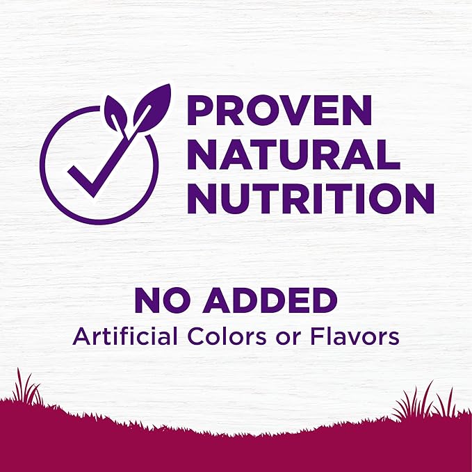Wellness Complete Health Small Breed Adult Dry Dog Food, Grain Free Kibble, Chicken and Salmon Recipe, 11 lb Bag