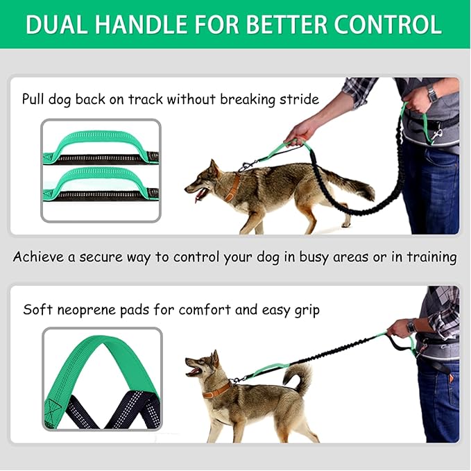 LANNEY Hands Free Dog Leash, Waist Running Leash with Zipper, Walking Pouch for Medium Large Dogs, Dual Handle and Retractable Bungee for Training Jogging Hiking(25-120 lbs, Teal)