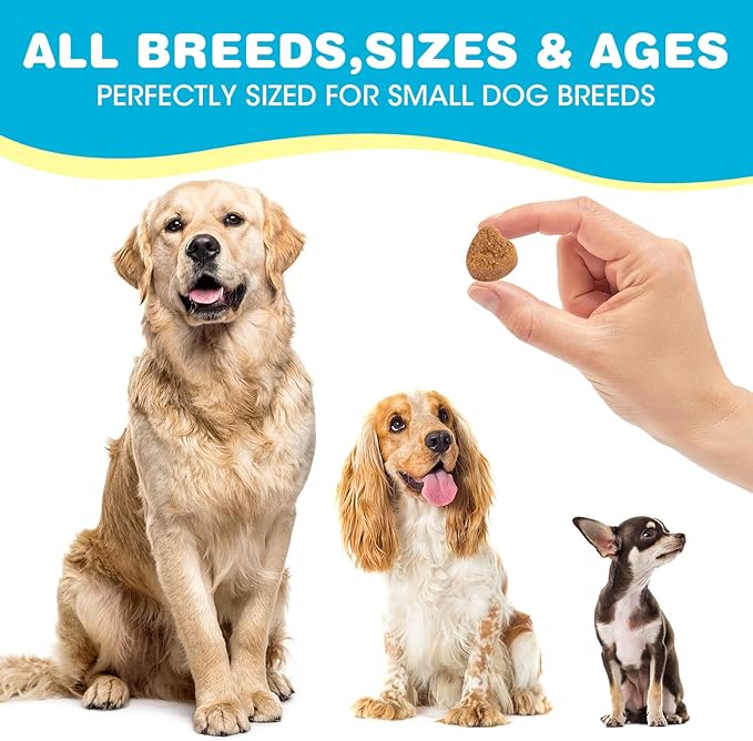 Probiotics for Dogs, Dog Probiotics for Diarrhea & Bowel Support, Digestive Enzymes Promotes Gut Health, Immunity Health & Itch Relief, Prebiotics and Probiotics (Chicken)