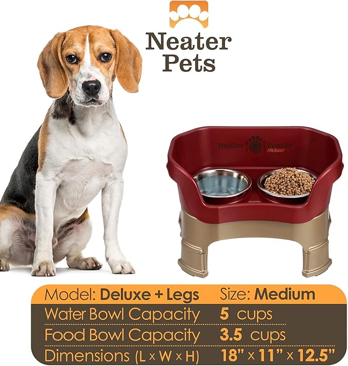 Neater Feeder Deluxe Mess-Proof Elevated Dog Bowls for Medium Dogs (19–40 lbs), 2 Height Adjustable (10” & 12.5”) No-Spill Raised Dog Bowl Stand, Stainless Steel Food Bowl Set, Made in USA, Cranberry
