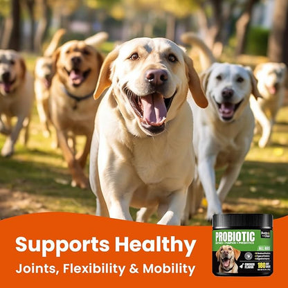 Probiotics for Dogs - Dog Probiotics with 5 Enzymes & 4 Prebiotics for Itchy Skin, Pet Probiotics lab for Digestion & Gut Support, Helps Diarrhea, Yeast Infection, Allergies & Immune System -180 Chews
