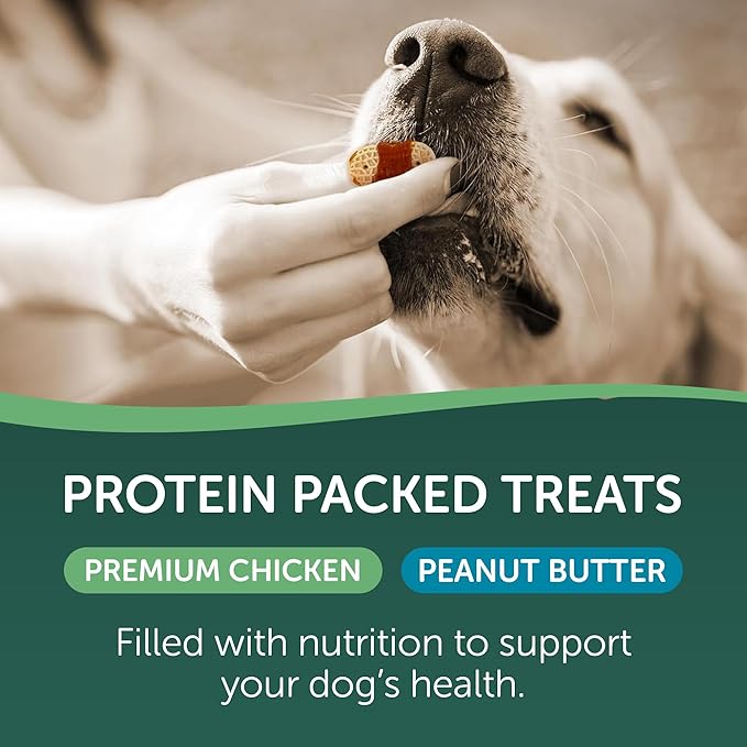 HEALTHFULS Chicken & Peanut Butter Flavored Dog Biscuits,16oz,(Pack of 2)