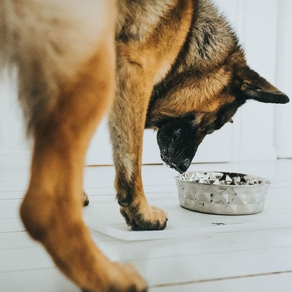 Hunter Silicone Stainless Steel Dog Feeder 4.1 L