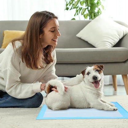 Super Absorbent Waterproof Dog and Puppy Pet Training Pad, Housebreaking Pet Pad, 40-Count Extra Middle-Size, 30’’X36’’, Blue