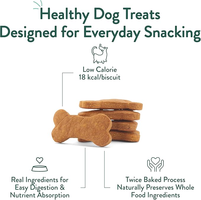 Portland Pet Food Company Pumpkin Dog Treats Healthy Biscuits for Small Medium & Large Dogs - Grain-Free, Human-Grade, All Natural Cookies, Snacks & Puppy Training Treats - Made in The USA - 5 oz