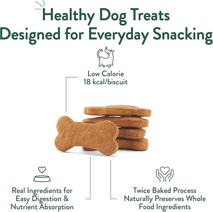 Portland Pet Food Company Pumpkin Dog Treats Healthy Biscuits for Small Medium & Large Dogs - Grain-Free, Human-Grade, All Natural Cookies, Snacks & Puppy Training Treats - Made in The USA - 5 oz