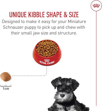 Royal Canin Breed Health Nutrition Miniature Schnauzer Puppy Dry Dog Food, 2.5 lb Bag