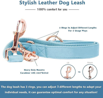 Soft Leather Dog Collar and Leash (6.6') Set - Stylish Rose Gold Heavy Duty Metal Buckle, 4 Adjustable Lengths Leash for Small Medium Large Dogs - Comfortable & Easy to Clean Light Blue XS(8"-12")