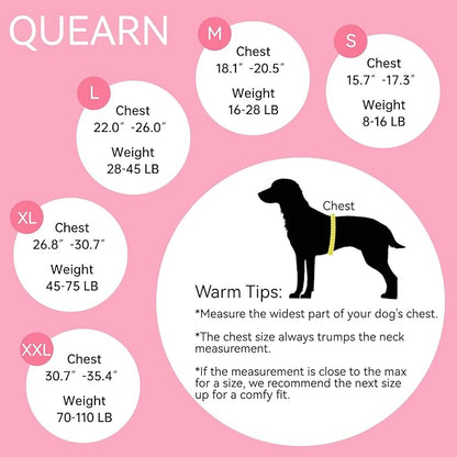 2 Packs Breathable Cotton Dog Recovery Suit for After Neuter Spay Abdominal Wounds Protector, Professional Anti-Licking Onesies for Male Female Pets Surgery Bandages, 2XL Purple & Pink Stripes