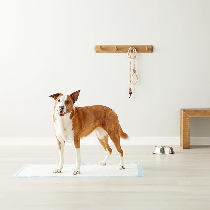 Amazon Basics Leak-Proof Dog and Puppy Potty Training Pee Pads with Quick-Dry 5-Layer Surface, Standard Absorbency, Giant Size, 27.5 x 44 Inch, Blue & White, 40-Pack