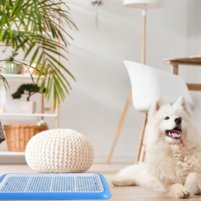 Mifoci 2 Pcs Dog Potty Tray Mesh Puppy Training Pad Holder Floor Protection Portable Pee Pad Pet Toilet Training Tray Litter Box Corner for Medium and Large Dogs (25.6 x 18.9 Inch,Blue)