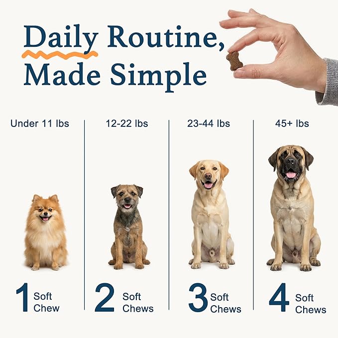 Dog Allergy Chews, Dog Probiotics for Itchy Skin Dog Allergy Relief Bites Skin and Coat Supplement Immune Support with Omega 3 Fish Oil Colostrum for Dog Seasonal Allergies Itchy Skin and Ear 120ct