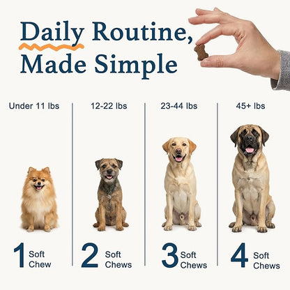 Dog Allergy Chews, Dog Probiotics for Itchy Skin Dog Allergy Relief Bites Skin and Coat Supplement Immune Support with Omega 3 Fish Oil Colostrum for Dog Seasonal Allergies Itchy Skin and Ear 120ct