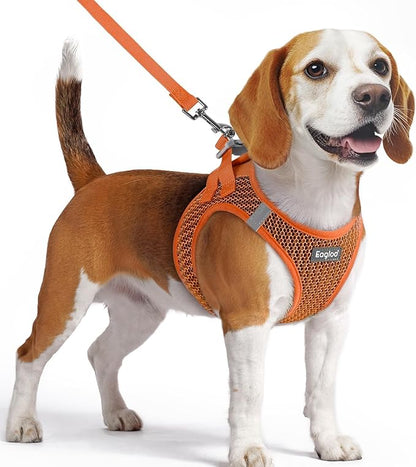 Eagloo Small Dog Harness and Leash Set, Step in Puppy Vest with Breathable Soft Mesh, Walking Reflective Pet Harness for Small Dogs, Orange, M