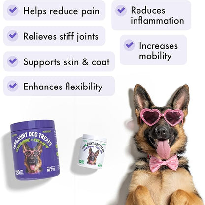 LEGITPET Hemp Hip & Joint Supplement for Dogs Soft Chews Made in USA Functional Glucosamine for Dogs Chondroitin MSM Turmeric Hemp Seed Oil Natural Pain Relief Mobility Advanced Joint 30 Treats