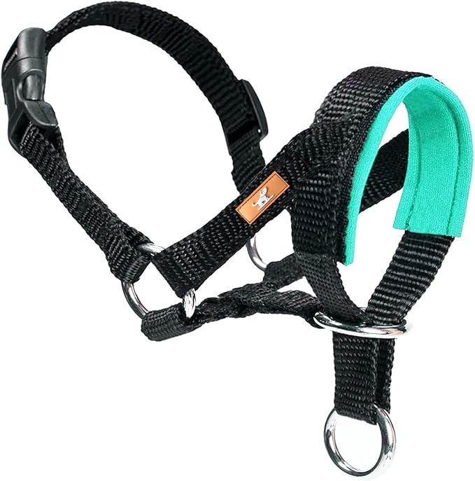 Dog Head Collar with Soft Fabric, Head Harness Stops Dog Pulling, Head Leash for Small Medium Large Dogs Walking (L, Green)