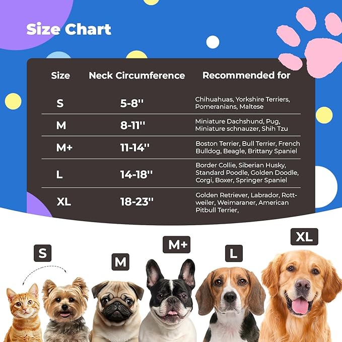 Inflatable Dog Cone Collar for Dogs and Cats, Dog Neck Collar Recovery E Collar Alternative After Surgery, Elizabethan Collar Alternatives for Dogs Recovery (Purple Blue, M+)