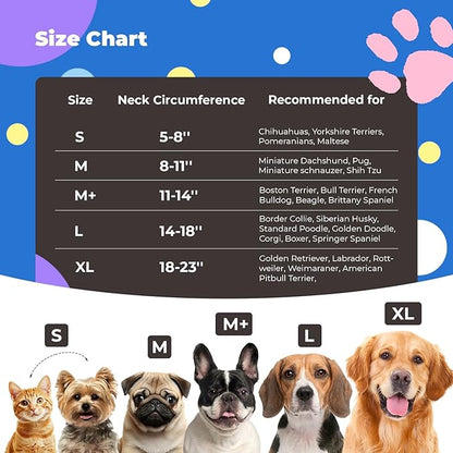 Inflatable Dog Cone Collar for Dogs and Cats, Dog Neck Collar Recovery E Collar Alternative After Surgery, Elizabethan Collar Alternatives for Dogs Recovery (Purple Blue, M+)