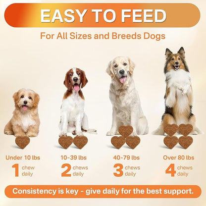 Puyrzoe 5-in-1 Dog Flea and Tick Treatment Chewable, Natural Flea and Tick Prevention for Dogs Chewable - Flea & Tick | Hip & Joint | Skin & Coat | Immunity Support | Digestive for All Breeds & Sizes