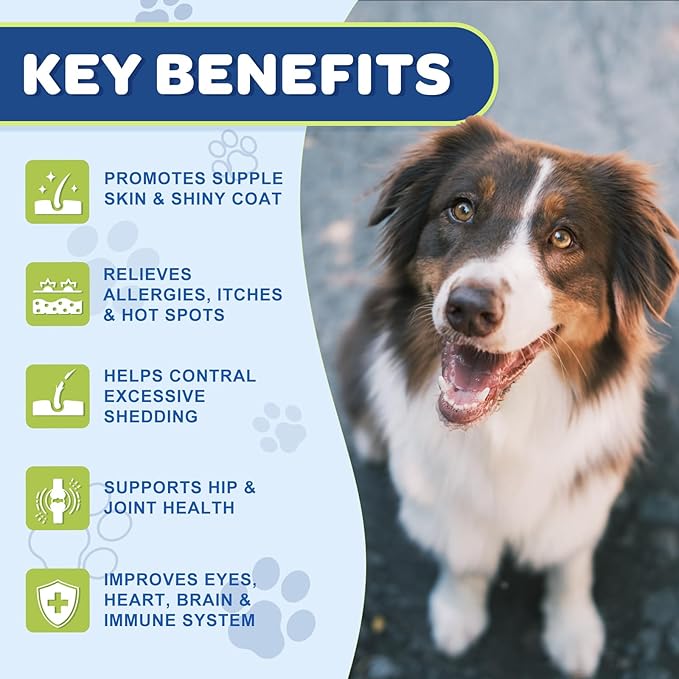 NATURE TARGET Omega 3 Fish Oil for Dogs, Salmon Oil for Skin & Coat Supplement with EPA & DHA Fatty Acids - Dog Itch & Allergy Relief, Anti Shedding, Hot Spots Treatment - Hip & Joint Support - 120ct