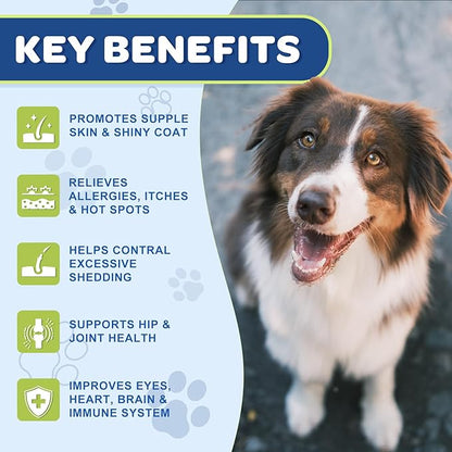 NATURE TARGET Omega 3 Fish Oil for Dogs, Salmon Oil for Skin & Coat Supplement with EPA & DHA Fatty Acids - Dog Itch & Allergy Relief, Anti Shedding, Hot Spots Treatment - Hip & Joint Support - 120ct