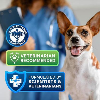 Animal Biome S. Boulardii + FOS Powder Probiotics for Dogs & Cats 60g – Pet Supplements Saccharomyces Boulardii Dog Probiotic with Prebiotic FOS for Gut Health, Digestive Support & Firmer Stool