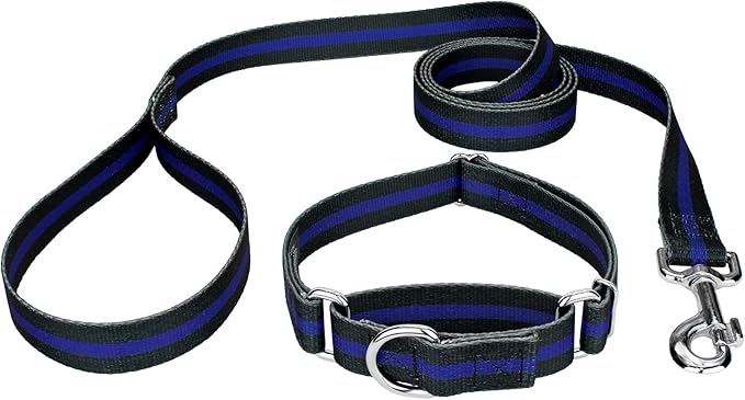 Country Brook Petz - Thin Blue Line Martingale Dog Collar and Leash - Camouflage Collection Featuring Rugged Designs (5/8 Inch, Small)