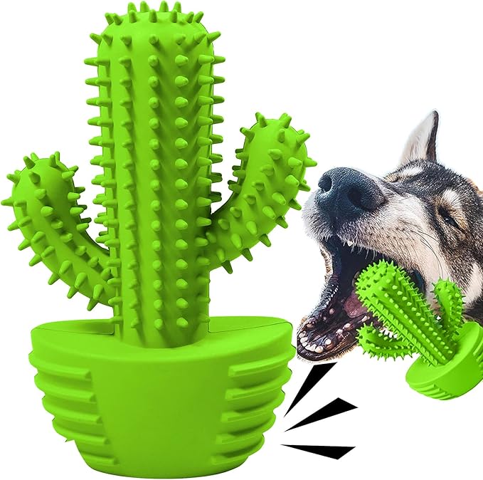 Pamlulu Dog Chew Toys, Toothbrush Stick Teeth Cleaning Brush Dental for Small Medium Large Dog, Rubber Squeaky Toys for Aggressive Chewers Cactus Tough Toys