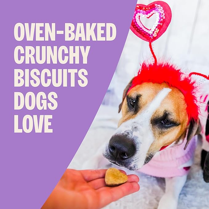 Wellness Old Mother Hubbard Bits of Love P-Nuttier Dog Biscuits, Natural Treats, Valentine's Day, Seasonal, Peanut Butter Flavor, 6 oz Bag