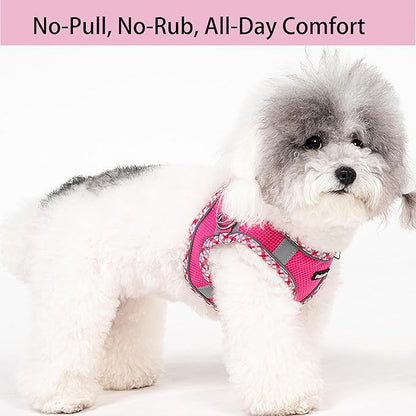 Petank Dog Harness for Small Medium Dogs No Pull, Puppy Harness and Leash Set for Walking, Running, Training, Small Dog Harness, Medium Dog Harness (Rose Red, XXS)