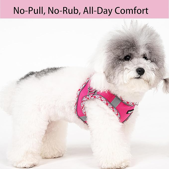 Petank Dog Harness for Small Medium Dogs No Pull, Puppy Harness and Leash Set for Walking, Running, Training, Small Dog Harness, Medium Dog Harness (Rose Red, M)