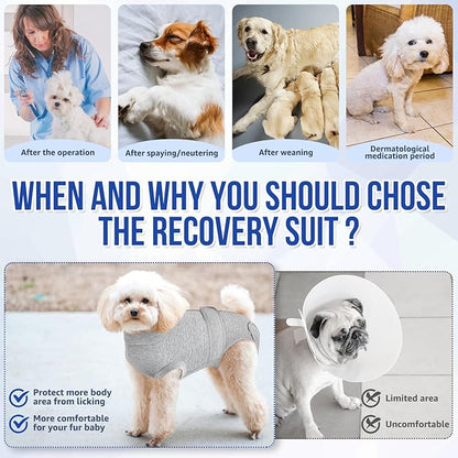 Lukovee Recovery Suit for Dogs, Zipper On Recovery Suit for Female Male Dog, Onesie Abdominal Wounds Cone E-Collar Alternative Prevent Licking Spay Recovery Suit (S,GY)