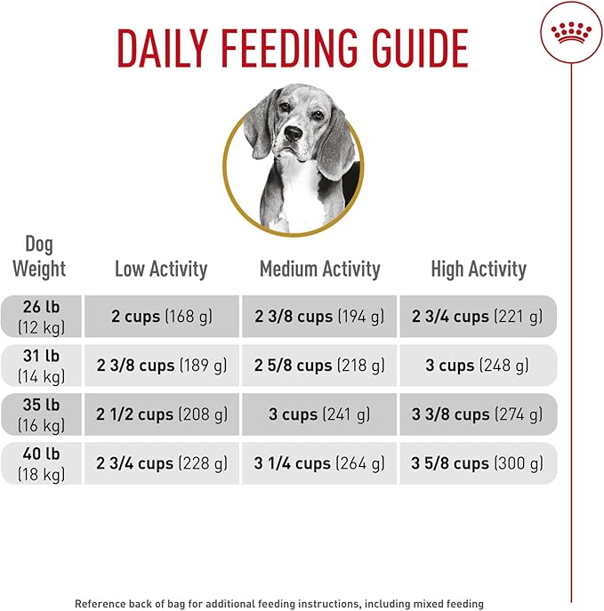 Royal Canin Breed Health Nutrition Beagle Adult Dry Dog Food, 30 lb Bag