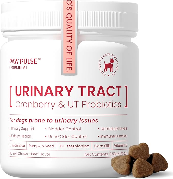 Pawpulse Formula Cranberry for Dogs, Urinary Tract Support for UTI Health, Bladder Stones, Incontinence, Urine Flow, Probiotics for Gut & Immune, 90 Chews