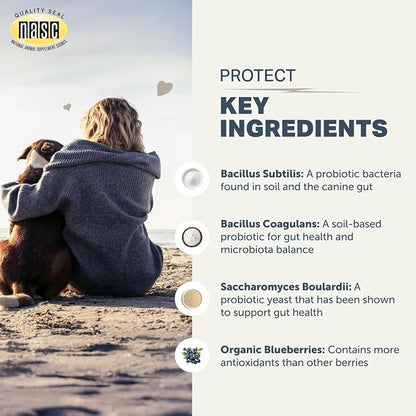 Four Leaf Rover Protect - Probiotics for Dogs - Veterinarian Formulated - with Natural Prebiotics and Antioxidants - Detoxification & Gut Health - 30 Day Large Dog Supply