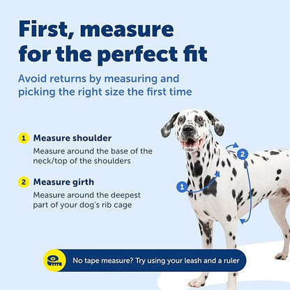 PetSafe 3-in-1 Harness - Comfortable Easy-Walk Dog Chest Harness with Front Leash Attachment to Reduce Pulling, Choking & Gagging - Dog Obedience Gear - Large- Teal