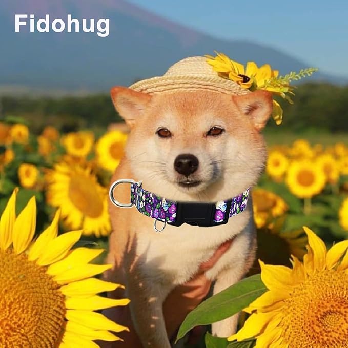 Martingale Collar for Dogs with Buckle Floral No Pull Training Dog Collars (Purple Floral, Medium)