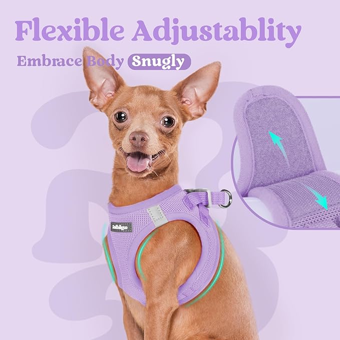 rabbitgoo Small Dog Harness, Step-in Soft Mesh Puppy Vest with Safety Buckle, Breathable Reflective Pet Harness for Small Medium Dogs, Light Purple XL