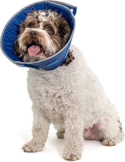 Calm Paws Dog Caring Collar W/Calming (Small)