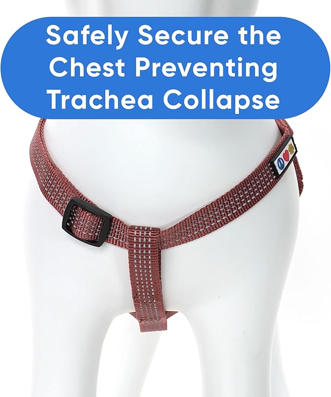 Pawtitas Reflective Step-in Dog Harness – Adjustable No-Pull Vest for Puppies to Seniors, Safe & Comfortable, M Marsala