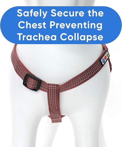 Pawtitas Reflective Step-in Dog Harness – Adjustable No-Pull Vest for Puppies to Seniors, Safe & Comfortable, M Marsala