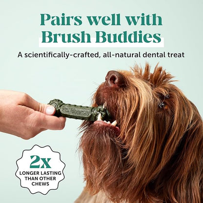 Dog Breath Freshener Dental Powder for Teeth Cleaning Plaque Off, Dental Care for Dogs, Tartar Remover for Teeth with Natural Herbal Blend + Postbiotics (Mint - 30 Servings)