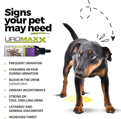 UroMAXX, Cat & Dog Urinary Tract Treatment, Bladder & Kidney Support for Dogs and Cats, Powerful Yet Gentle Pet Care, with Liquid Cranberry & Glucosamine, Salmon Flavor, 6 oz Bottle, 1 Pack