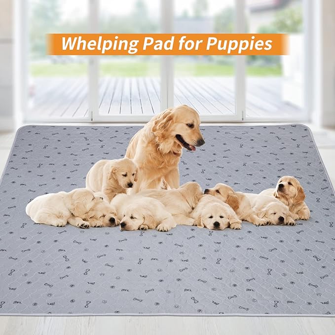 Dog Pee Pad Washable 65x48 Large, Fast Absorption Reusable Puppy Pads, Waterproof Pet Training Pads,Non-Slip Bone Print Whelping Pad for Dog Playpen, Incontinence, Housebreaking